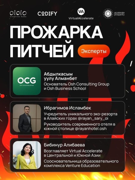 Прожарка питчей от экспертов