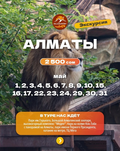 Тур в город Алматы - поездка в Казахстан на один день! | Выезд с Бишкека 23 мая 2026