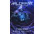 Благотворительный киберспортивный турнир по «VALORANT»