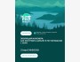 Эволюция инженера: Как построить карьеру в тестировании с нуля