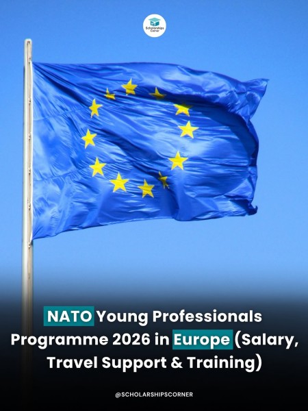 Программа NATO Young Professionals Programme 2026 в Европе
