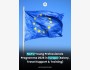 Программа NATO Young Professionals Programme 2026 в Европе