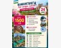 Тур в Узбекистан: парк Афсоналар Водийси и фестиваль цветов | 24 мая 2026