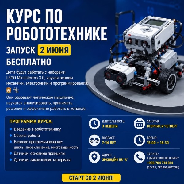 Курс по робототехнике для детей в рамках STEAM-школы