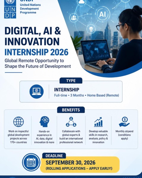 Программа стажировок UNDP Digital, AI & Innovation Internship 2026