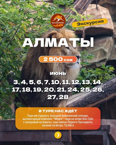 Тур в город Алматы - едем в Казахстан на один день! | Выезд с Бишкека 7 июня 2026