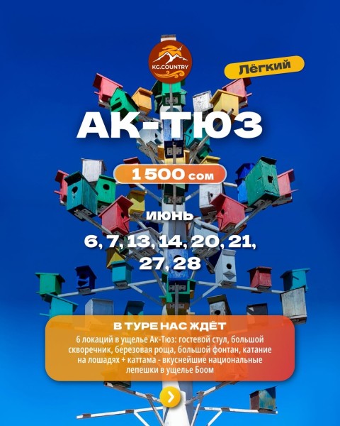 Прогулочный тур по ущелью Ак-Тюз + 6 локаций | 7 июня 2026