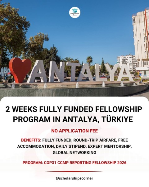 Программа COP31 CCMP Reporting Fellowship 2026 в Турции