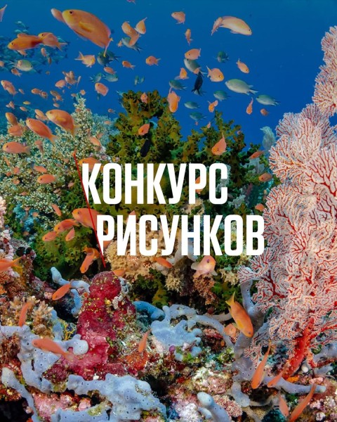 Конкурс рисунков «Невидимый мир: город под водой»