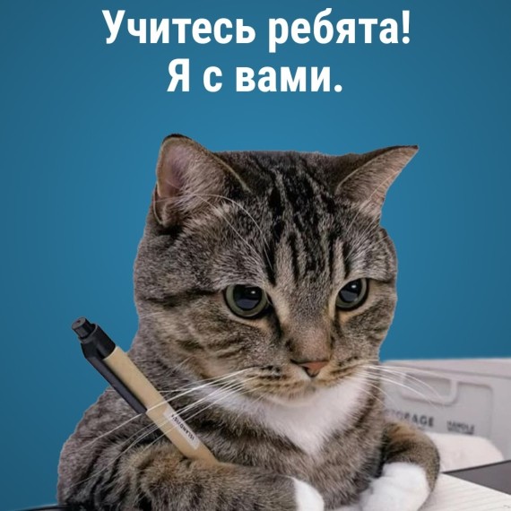 С Международным днём студентов! 🎓 