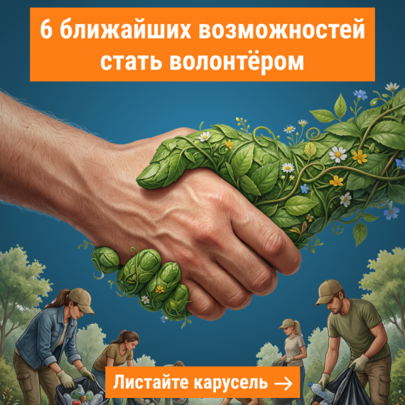 Ближайшие возможности для волонтеров! Успейте подать заявки
