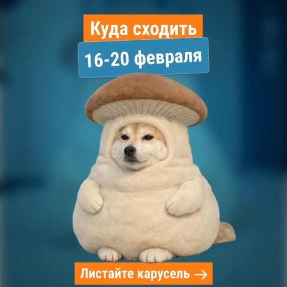 Куда сходить 16–20 февраля? 