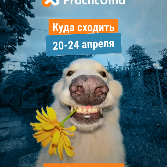 Куда сходить на буднях 20–24 апреля в Бишкеке?