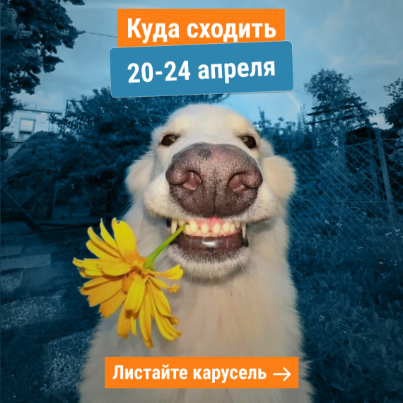 Куда сходить на буднях 20–24 апреля в Бишкеке?