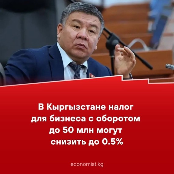 В Кыргызстане налог для бизнеса с оборотом до 50 млн могут снизить до 0.5%