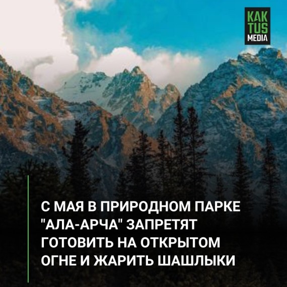 С 1 мая в природном парке "Ала-Арча" для отдыхающих вводится запрет на приготовление шашлыков и другой еды на кострах
