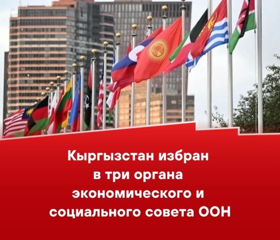 Кыргызстан избран в три органа экономического и социального совета ООН