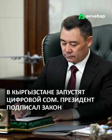 В Кыргызстане запустят цифровой сом. Президент подписал закон