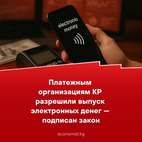Платежным организациям КР разрешили выпуск электронных денег — подписан закон