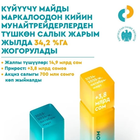 Налоговая служба: после маркировки топлива налоговые поступления выросли на 34,2% за полгода