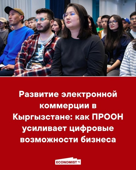 Развитие электронной коммерции в Кыргызстане: как ПРООН усиливает цифровые возможности бизнеса