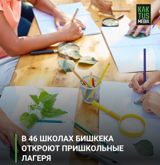 В 46 школах Бишкека откроют пришкольные лагеря