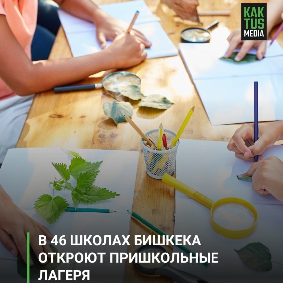В 46 школах Бишкека откроют пришкольные лагеря