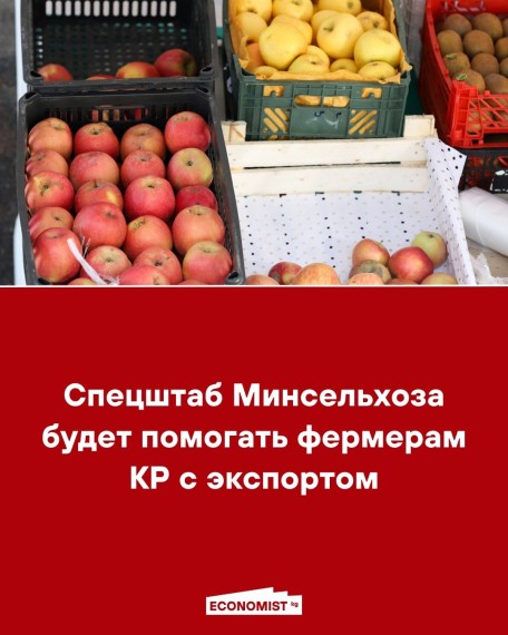 Спецштаб Минсельхоза будет помогать фермерам КР с экспортом