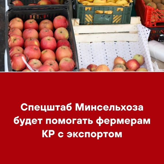 Спецштаб Минсельхоза будет помогать фермерам КР с экспортом