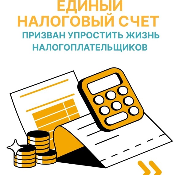 Единый налоговый счет и упрощение жизни налогоплательщиков | Бирдиктүү салык эсеп