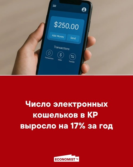 Число электронных кошельков в КР выросло на 17% за год