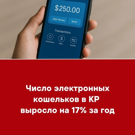 Число электронных кошельков в КР выросло на 17% за год