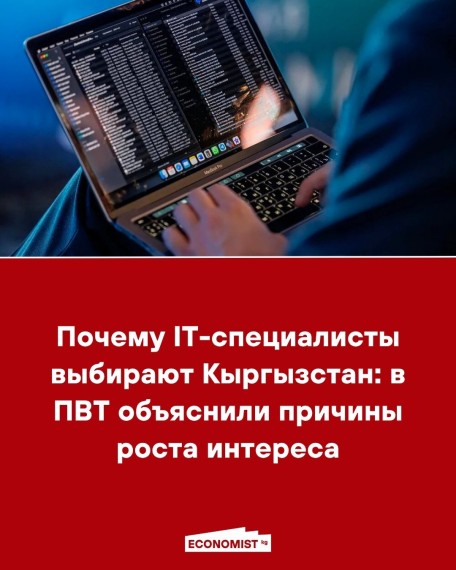Почему IT-специалисты выбирают Кыргызстан: в ПВТ объяснили причины роста интереса 