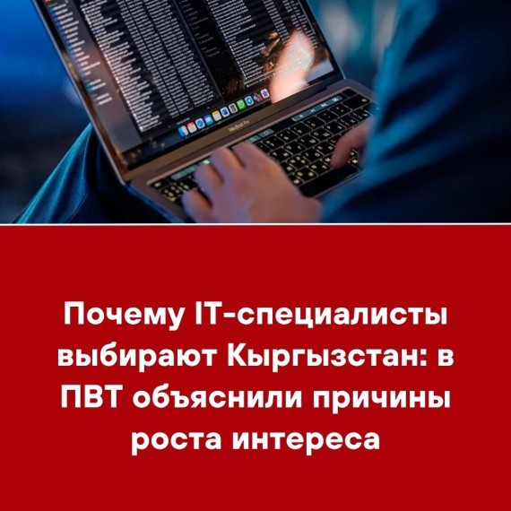 Почему IT-специалисты выбирают Кыргызстан: в ПВТ объяснили причины роста интереса 