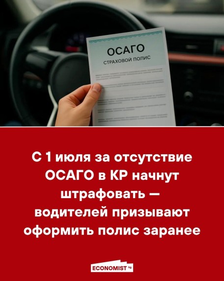 С 1 июля за отсутствие ОСАГО в КР начнут штрафовать ‒ водителей призывают оформить полис заранее