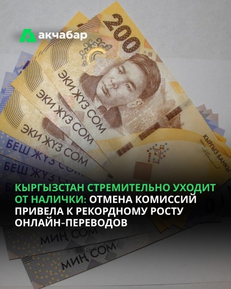 Кыргызстан стремительно уходит от налички: отмена комиссий привела к рекордному росту онлайн-переводов