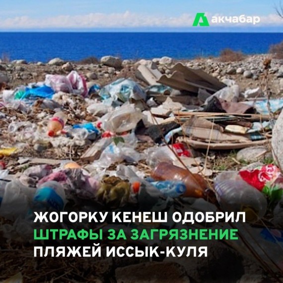 Жогорку Кенеш одобрил штрафы за загрязнение пляжей Иссык-Куля