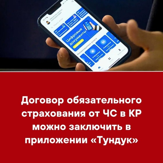 Договор обязательного страхования от ЧС в КР можно заключить в приложении «Тундук»