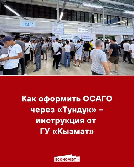 Как оформить ОСАГО через «Тундук» ‒ инструкция от ГУ «Кызмат»