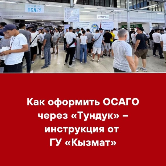Как оформить ОСАГО через «Тундук» ‒ инструкция от ГУ «Кызмат»