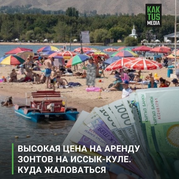 Высокая цена на аренду зонтов на Иссык-Куле. Куда жаловаться