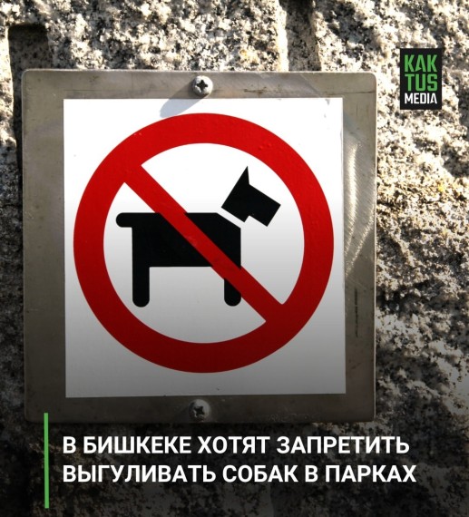 В Бишкеке хотят запретить выгуливать собак в парках