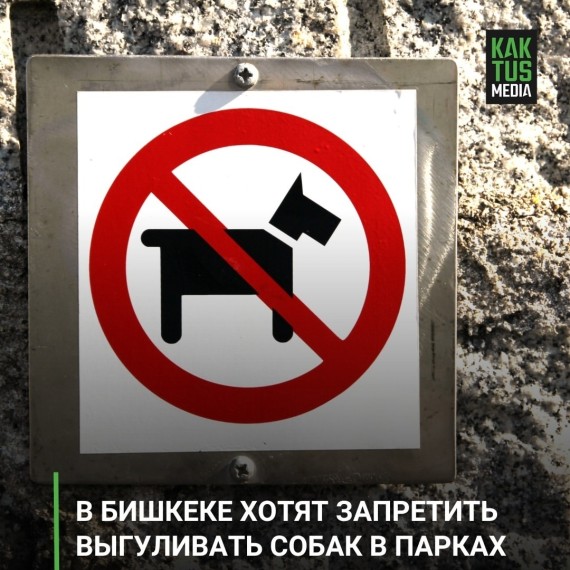 В Бишкеке хотят запретить выгуливать собак в парках