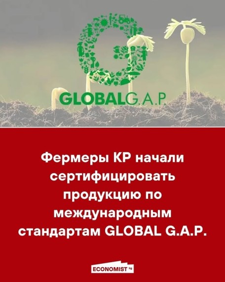 Фермеры КР начали сертифицировать продукцию по международным стандартам GLOBAL G.A.P.