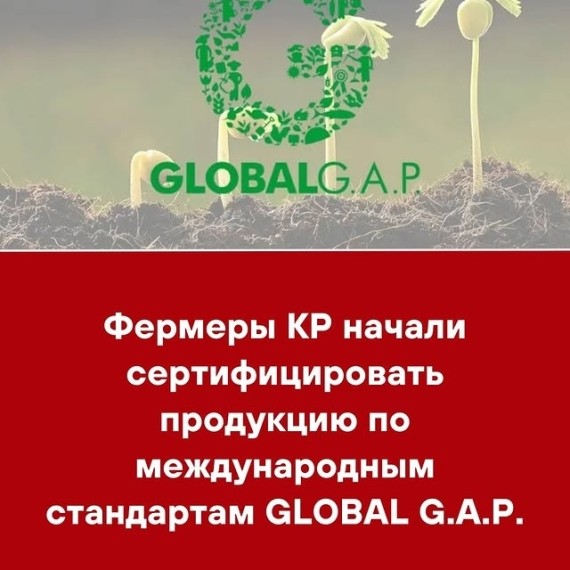 Фермеры КР начали сертифицировать продукцию по международным стандартам GLOBAL G.A.P.