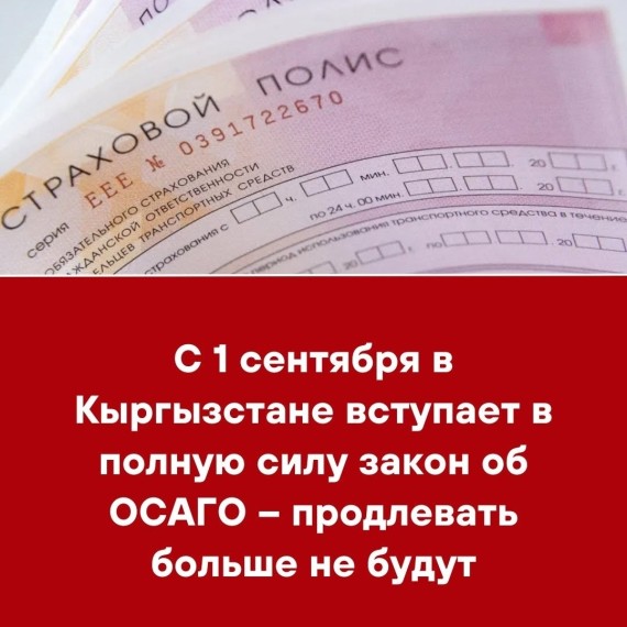 С 1 сентября в Кыргызстане вступает в полную силу закон об ОСАГО - продлевать больше не будут