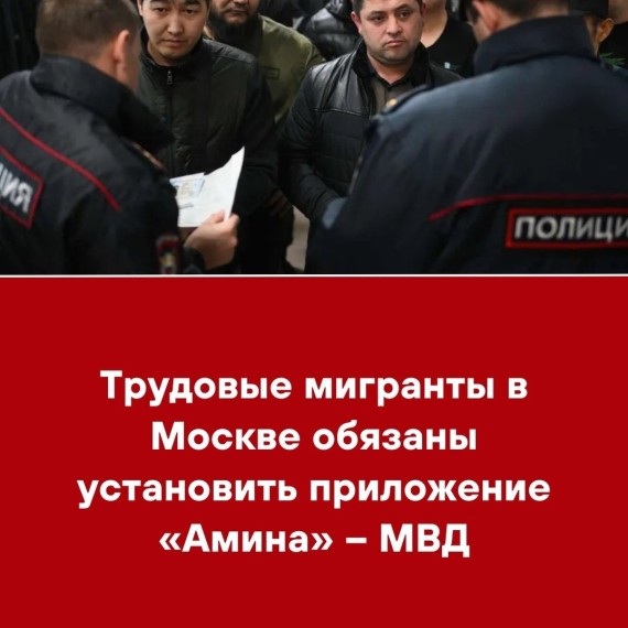 Трудовые мигранты в Москве обязаны установить приложение «Амина» - МВД