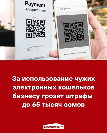 За использование чужих электронных кошельков бизнесу грозят штрафы до 65 тысяч сомов