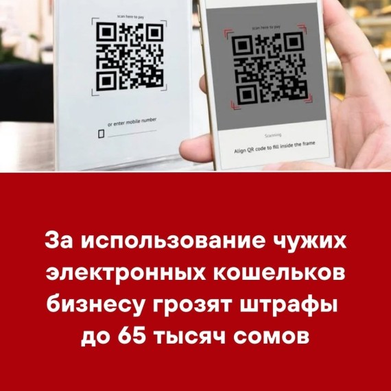 За использование чужих электронных кошельков бизнесу грозят штрафы до 65 тысяч сомов