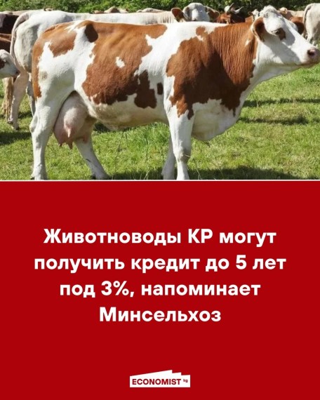 Животноводы КР могут получить кредит до 5 лет под 3%, напоминает Минсельхоз